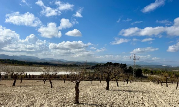 Gensalg - Land -
BULLAS - Costa Calida