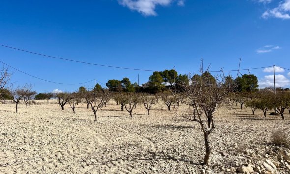 Gensalg - Land -
BULLAS - Costa Calida