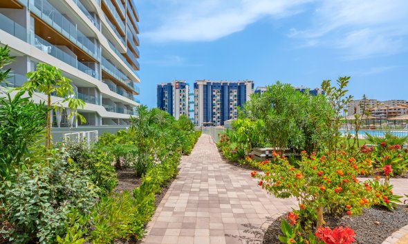 Reventa - apartment -
Orihuela Costa - Punta Prima