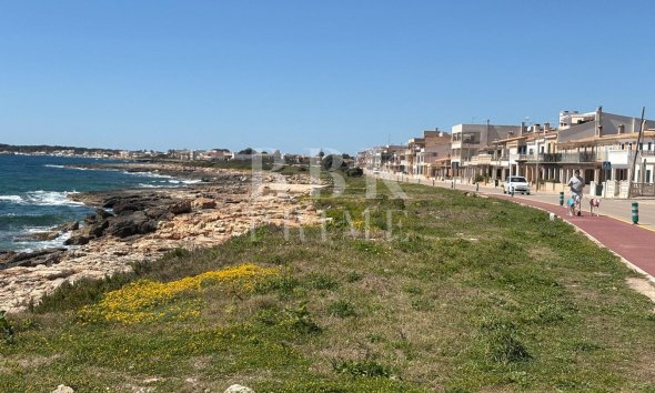 Gensalg - apartment -
Campos - Sa Ràpita