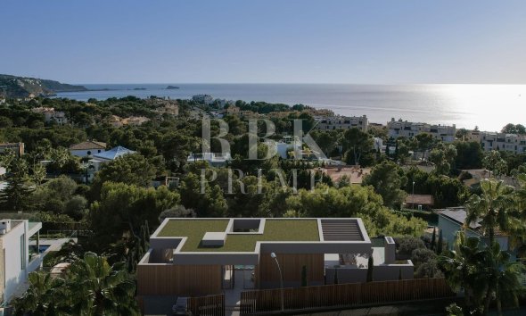 Gensalg - Land -
Calvià - Santa Ponsa