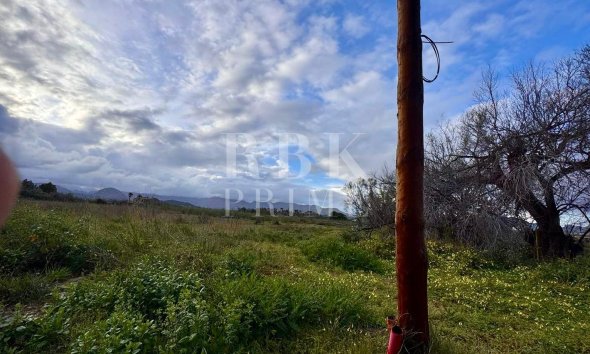 Gensalg - Land -
Alcudia - Es Barcarás