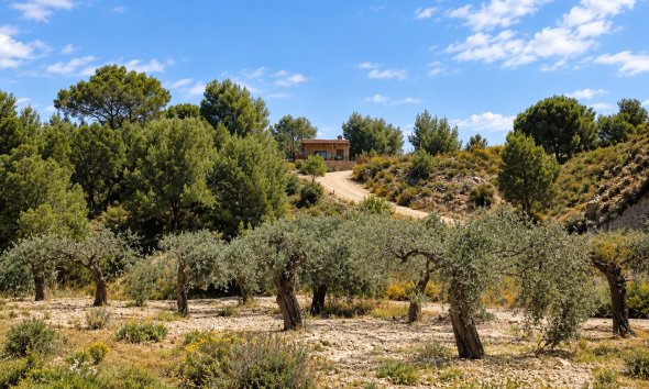 Resale - Villa -
Murcia - Costa Blanca