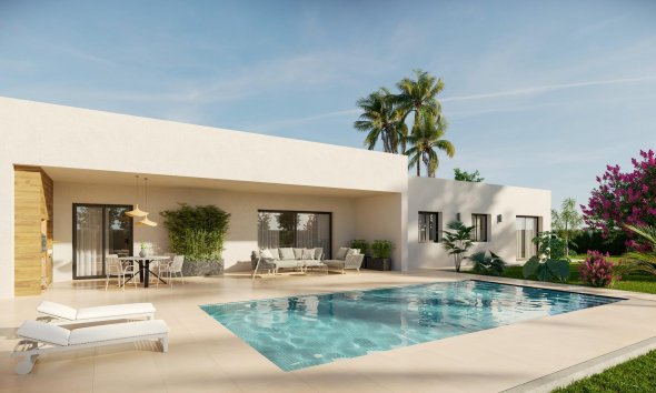 Obra nueva - detached -
Aspe
